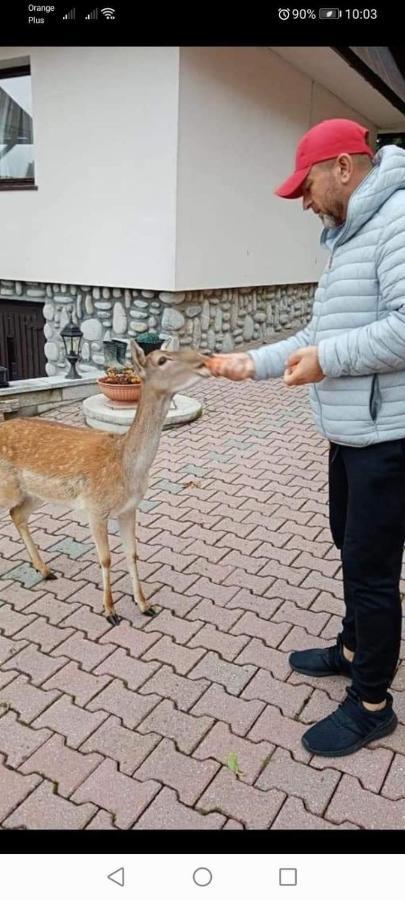 Agroturystyka Pod Lasem Poronin Esterno foto