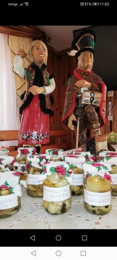 Agroturystyka Pod Lasem Poronin Esterno foto