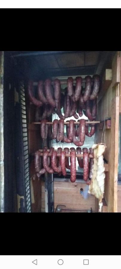 Agroturystyka Pod Lasem Poronin Esterno foto