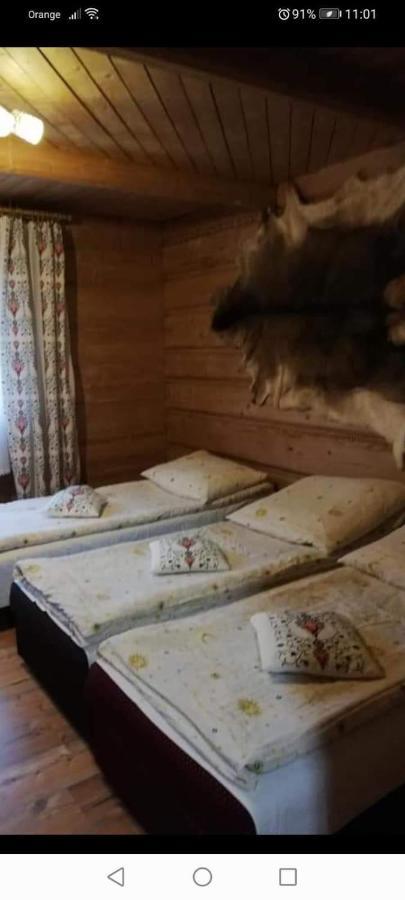 Agroturystyka Pod Lasem Poronin Esterno foto